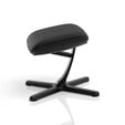 Footrest 2 - Black Edition image number null